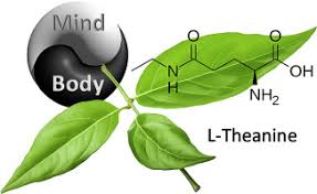 L-Theanine